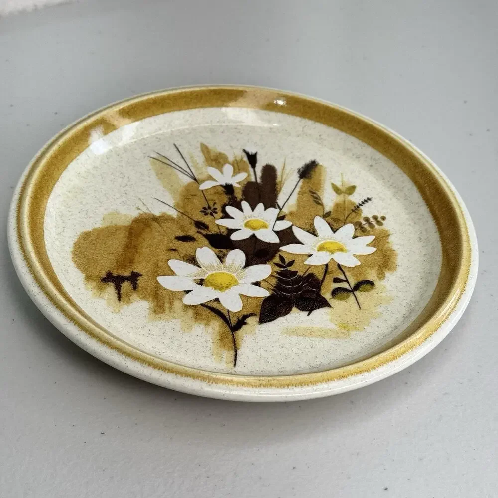 Lot of 5 Mikasa Daisy Mae Stone Manor Plates & Bowls Set MCM Floral Brown Japan